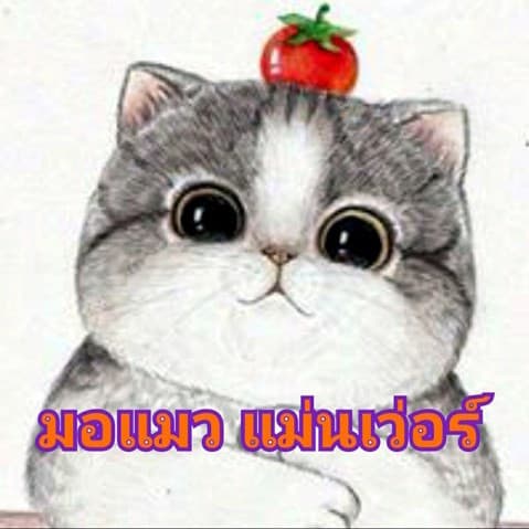 มอแมว แม่นเว่อร์