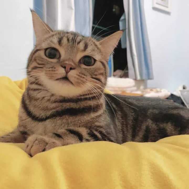 พราว