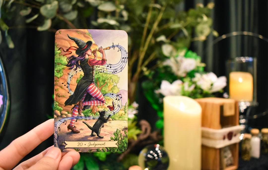 ภาพหน้าปกของ พี่หมอนุช tarot of the day