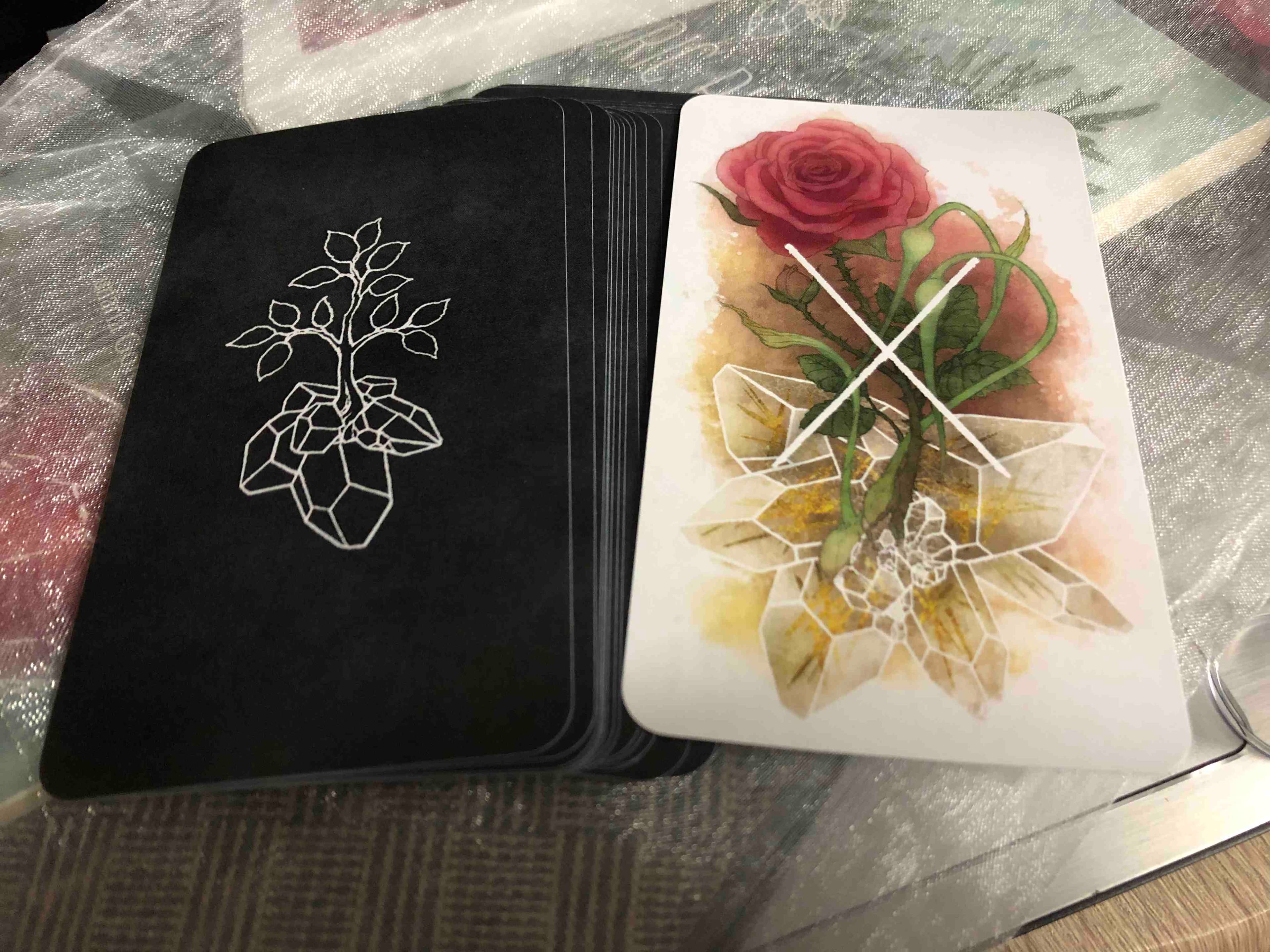 1 คำถาม ตอบกระชับ สั้นๆได้ใจความ