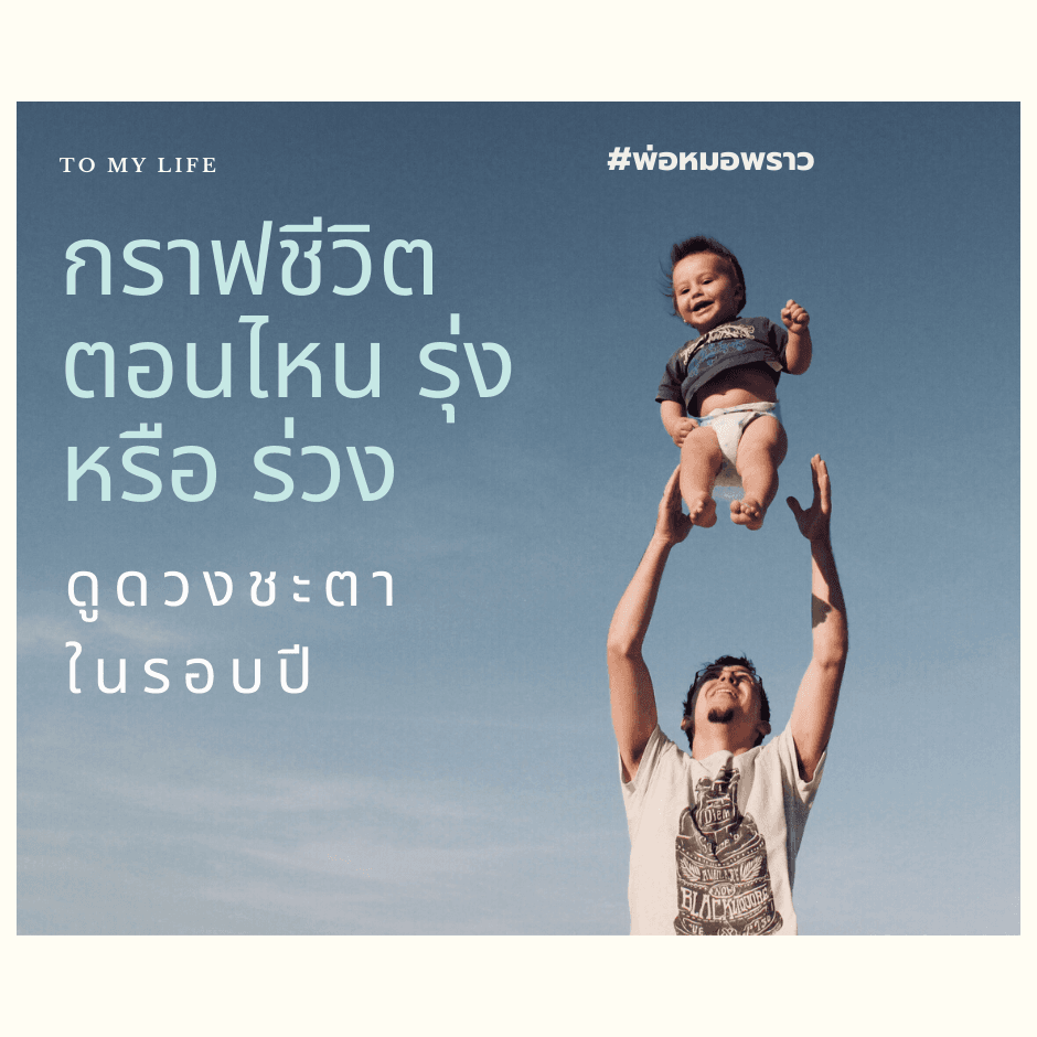 ดูดวงในรอบปี (กราฟชีวิต)