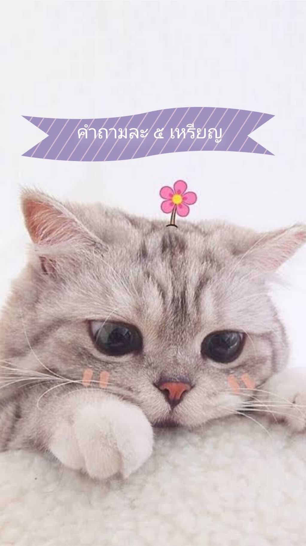 ลองไลฟ์ดู  คำถามละ ๕ เหรียญค่ะ 