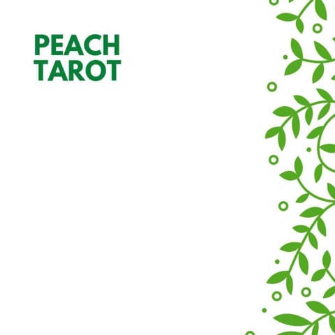 ความรัก การงาน สุขภาพ ภายในเดือนนี้ : TAROT CARD