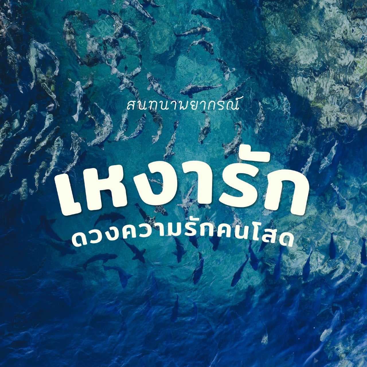 ดวงคนโสด แล้วคนใหม่จะมาตอนไหน !? 💘