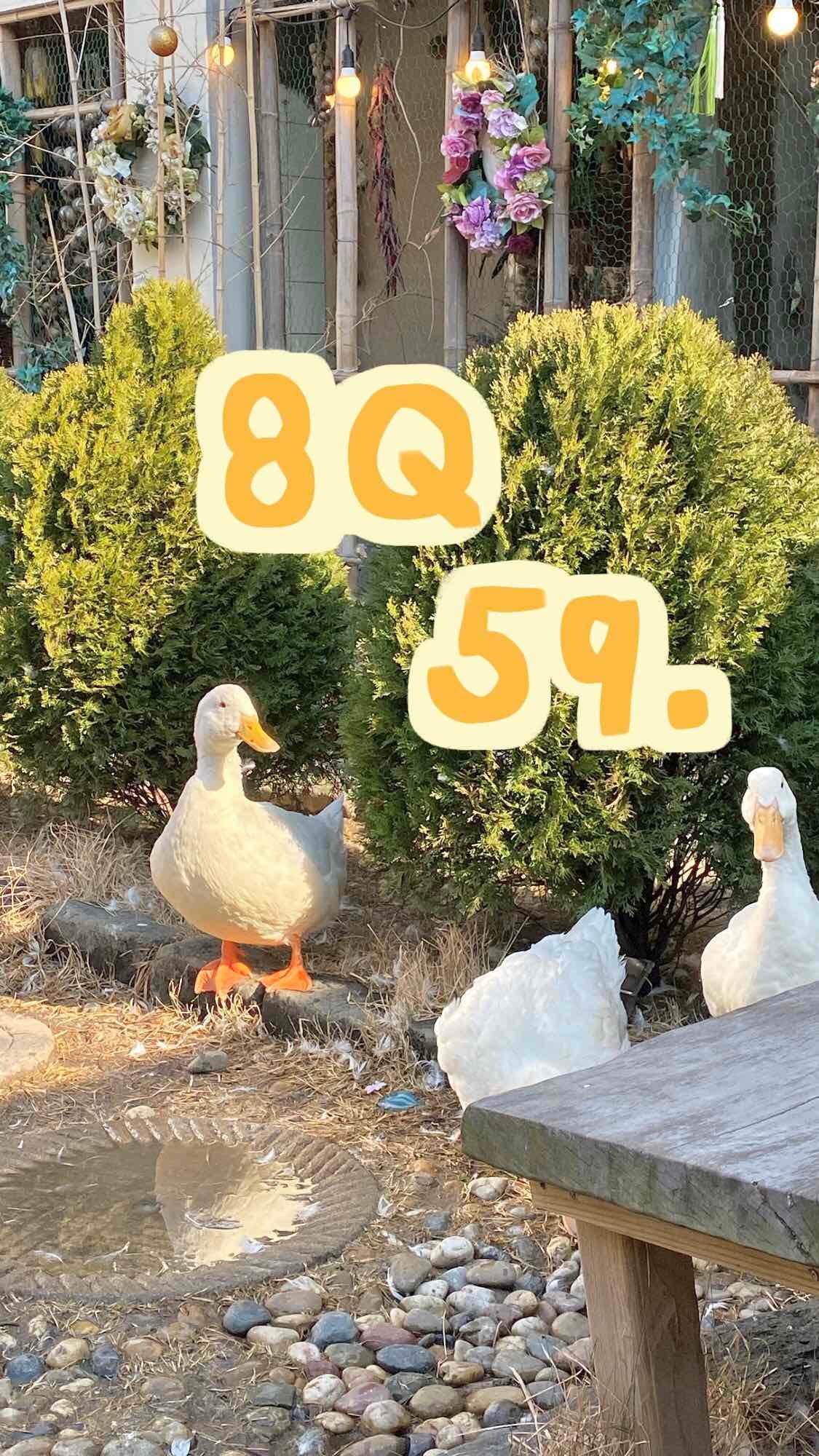 8 คำถาม 59 เหรียญ❤️