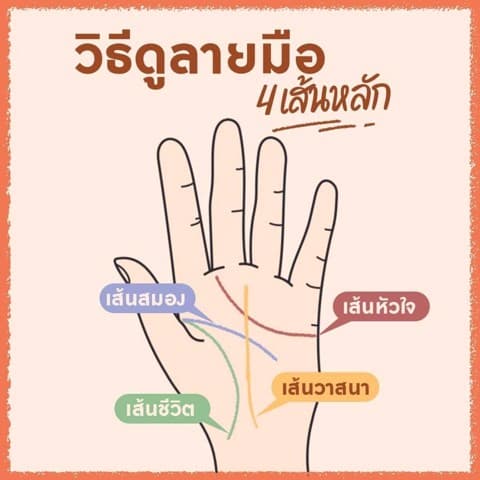 ดูพื้นดวงและอนาคตจากเนินต่างๆในมือ ละเอียดมาก!