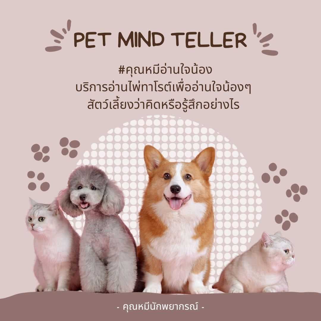 บริการอ่านใจสัตว์เลี้ยงด้วยไพ่ทาโรต์