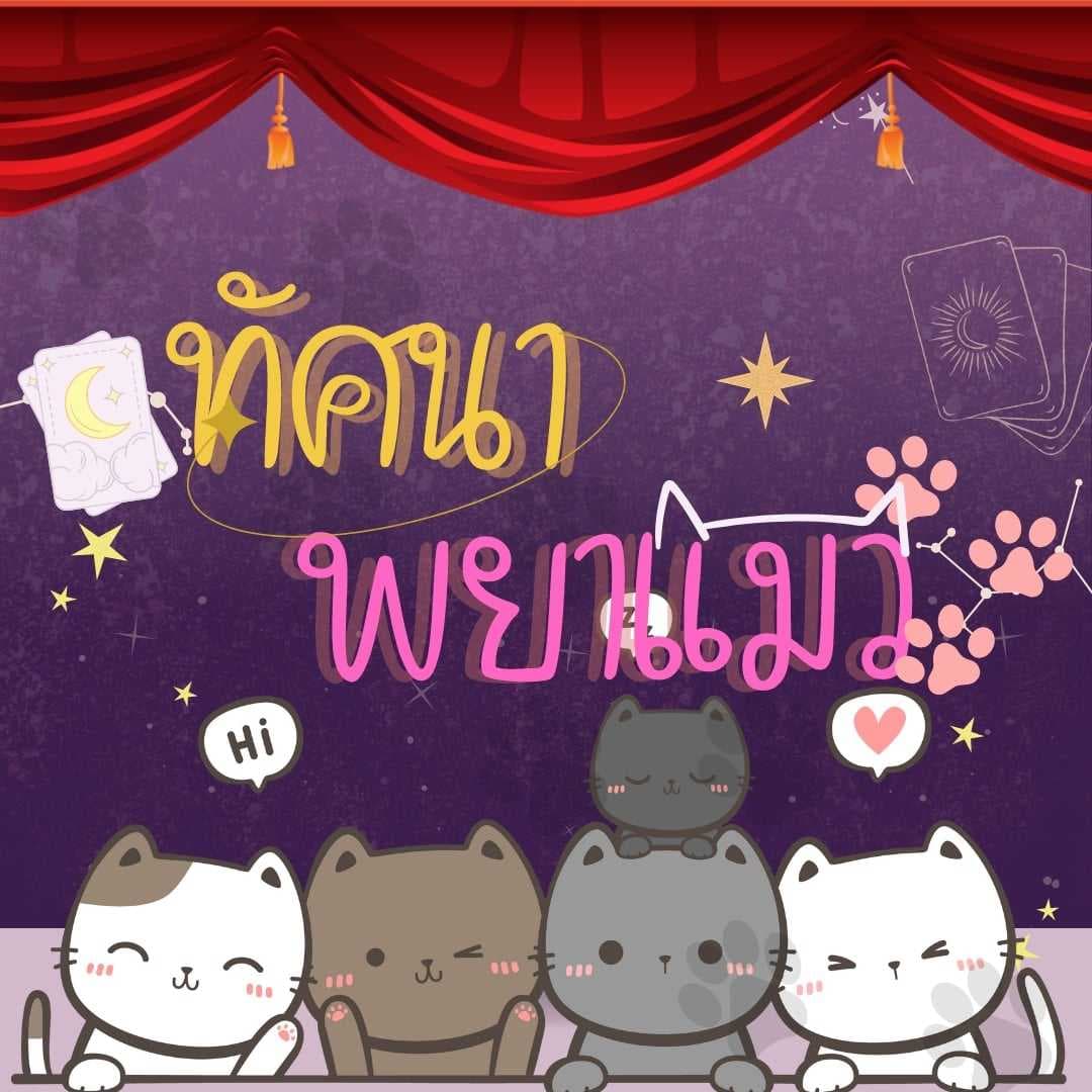 ทัศนาพยาแมว ดูดวงด้วยทาโรต์น้องแมว