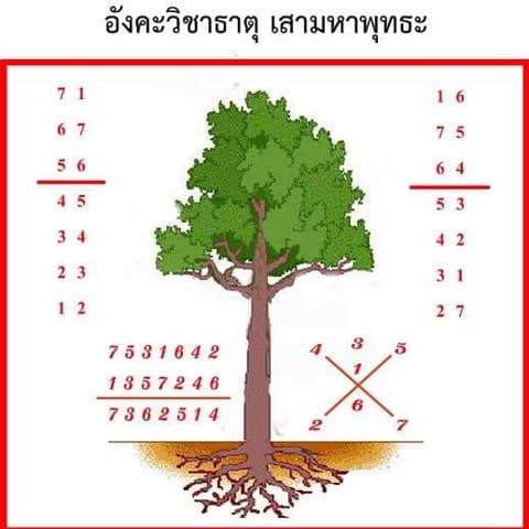 🅰️ 🔮โหราศาสตร์​พม่า​ อังคะวิชาธาตุ​ + ไพ่ตรีโลกา