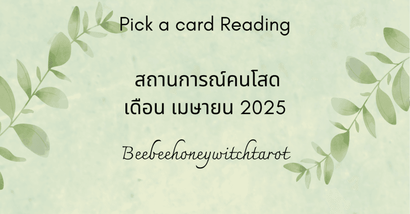 สถานการณ์คนโสดเดือน เมษายน 2025