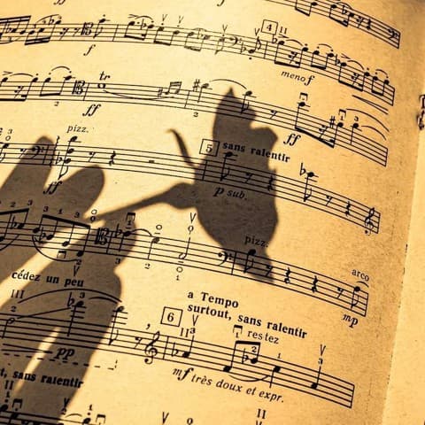 music from your own heart เพลงจากใจคุณ