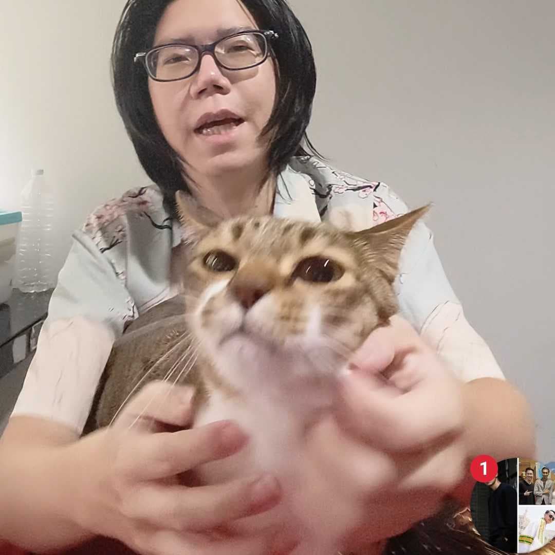 ดูดวงด้วยไพ่ยิปซีกับเพนดูลั่ม
