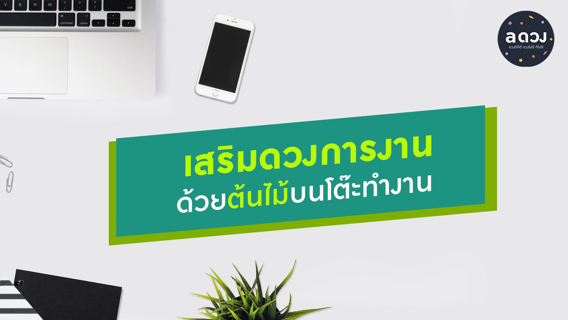 เสริมดวงการงาน ด้วยต้นไม้บนโต๊ะทำงาน