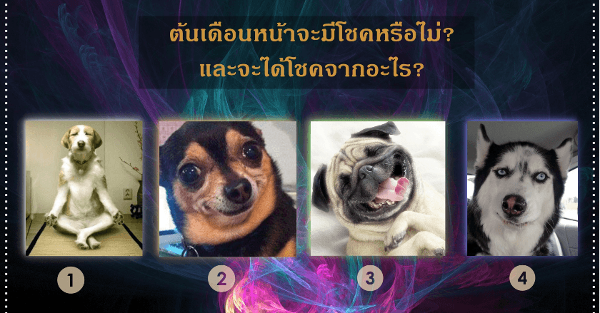 💰ต้นเดือนหน้าจะมีโชคหรือไม่❓ แล้วจะได้โชคจากอะไร❓ และวิธีเสริมดวงให้มีโชค✨