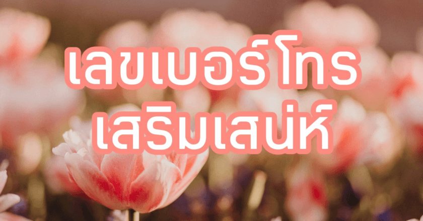 เลขเบอร์โทรเสริมเสน่ห์เรียกรัก
