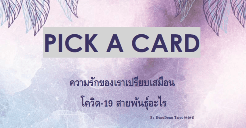 Pick A Card ความรักของเราเปรียบเสมือน โควิด-19 สายพันธุ์อะไร