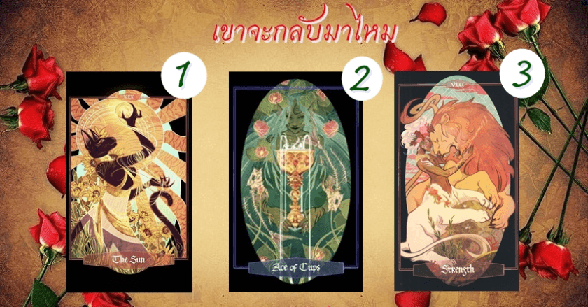Pick a Card เขาจะกลับมาไหม