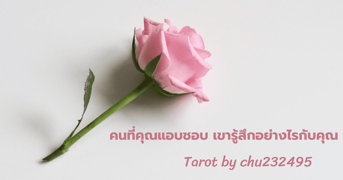Pick a Card คนที่คุณแอบชอบ เขารู้สึกอย่างไรกับคุณ