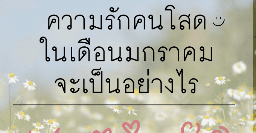 ความรักของ"คนโสด" ในเดือน มกราคม