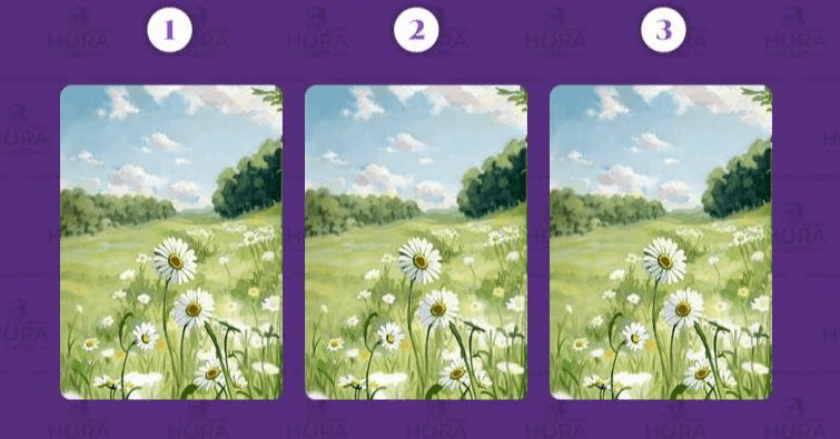 Pick a card การเงินในสามเดือนนี้จะได้อย่างที่หวังหรือไม่